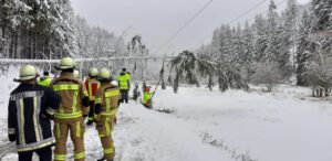 Mehr über den Artikel erfahren Baum auf Stromleitung