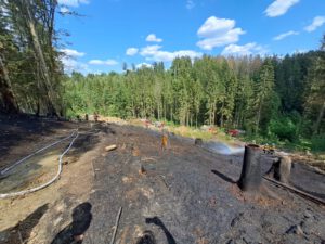 Mehr über den Artikel erfahren Brand Wald