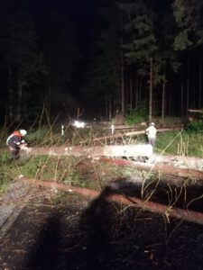 Mehr über den Artikel erfahren THL Unwetter